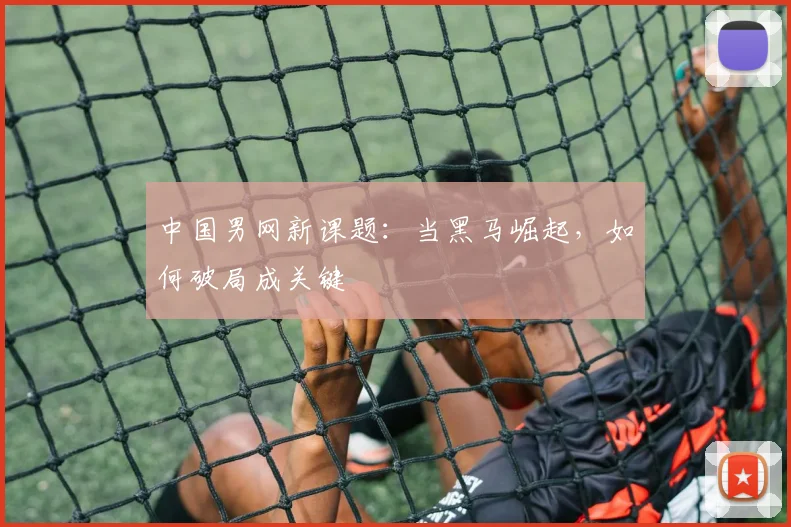 中国男网新课题：当黑马崛起，如何破局成关键