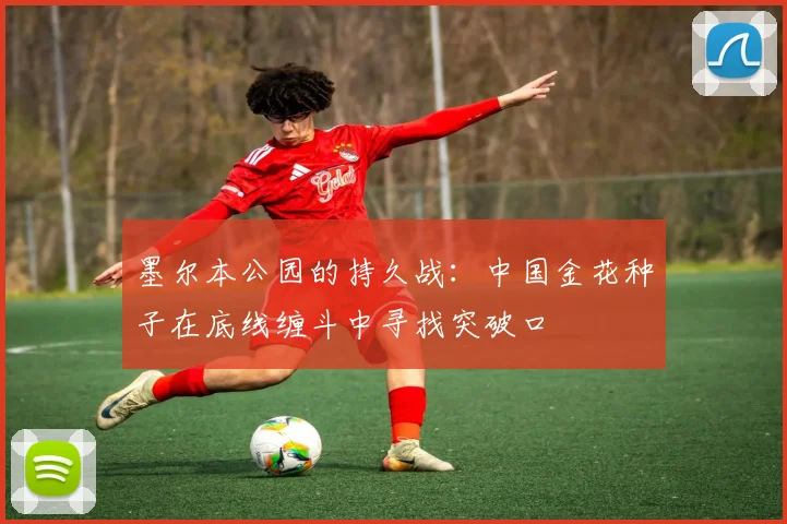 墨尔本公园的持久战：中国金花种子在底线缠斗中寻找突破口